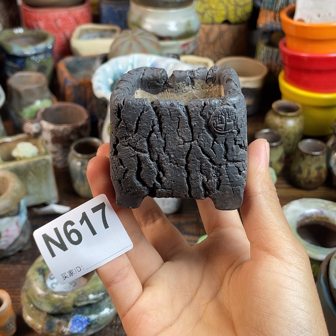 坛子姐花盆 双十二限时福利！默认微次！