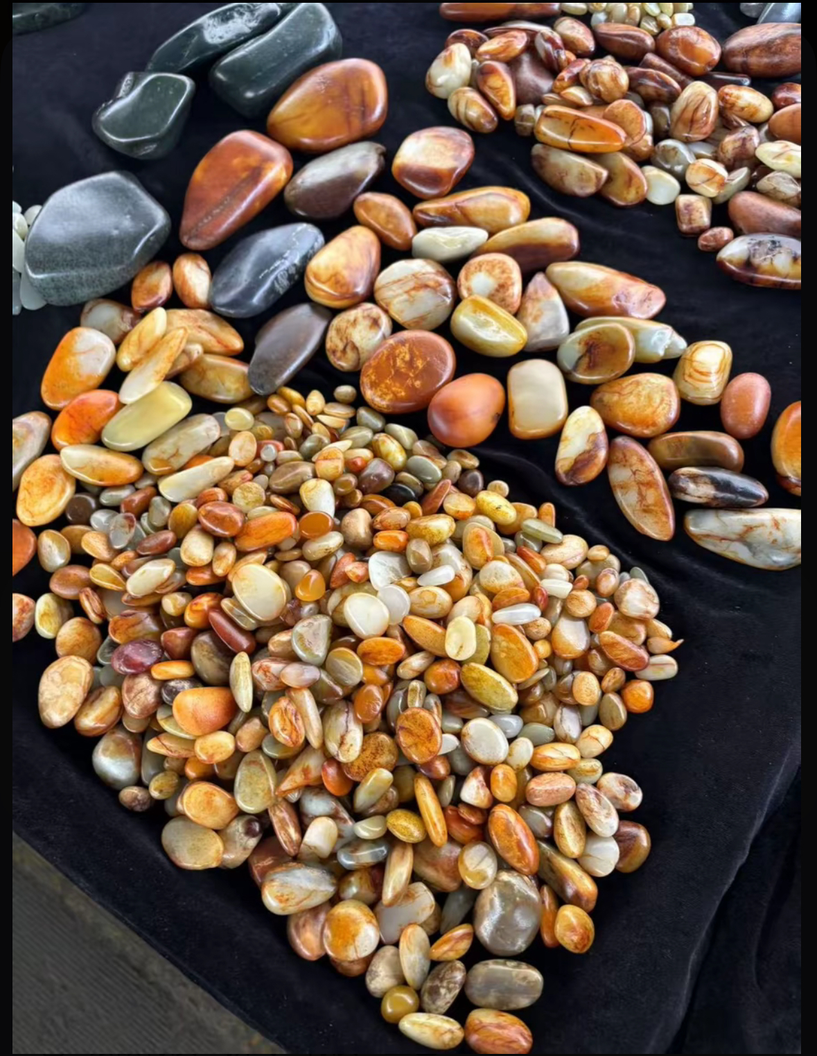 新疆籽石洒金皮随机发货