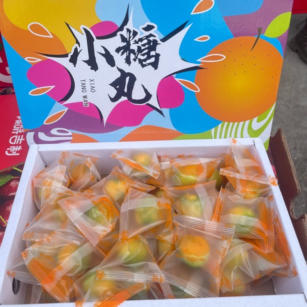 【独立包装】融安滑皮金桔新鲜水果（脆甜可口）广西壮族自治区