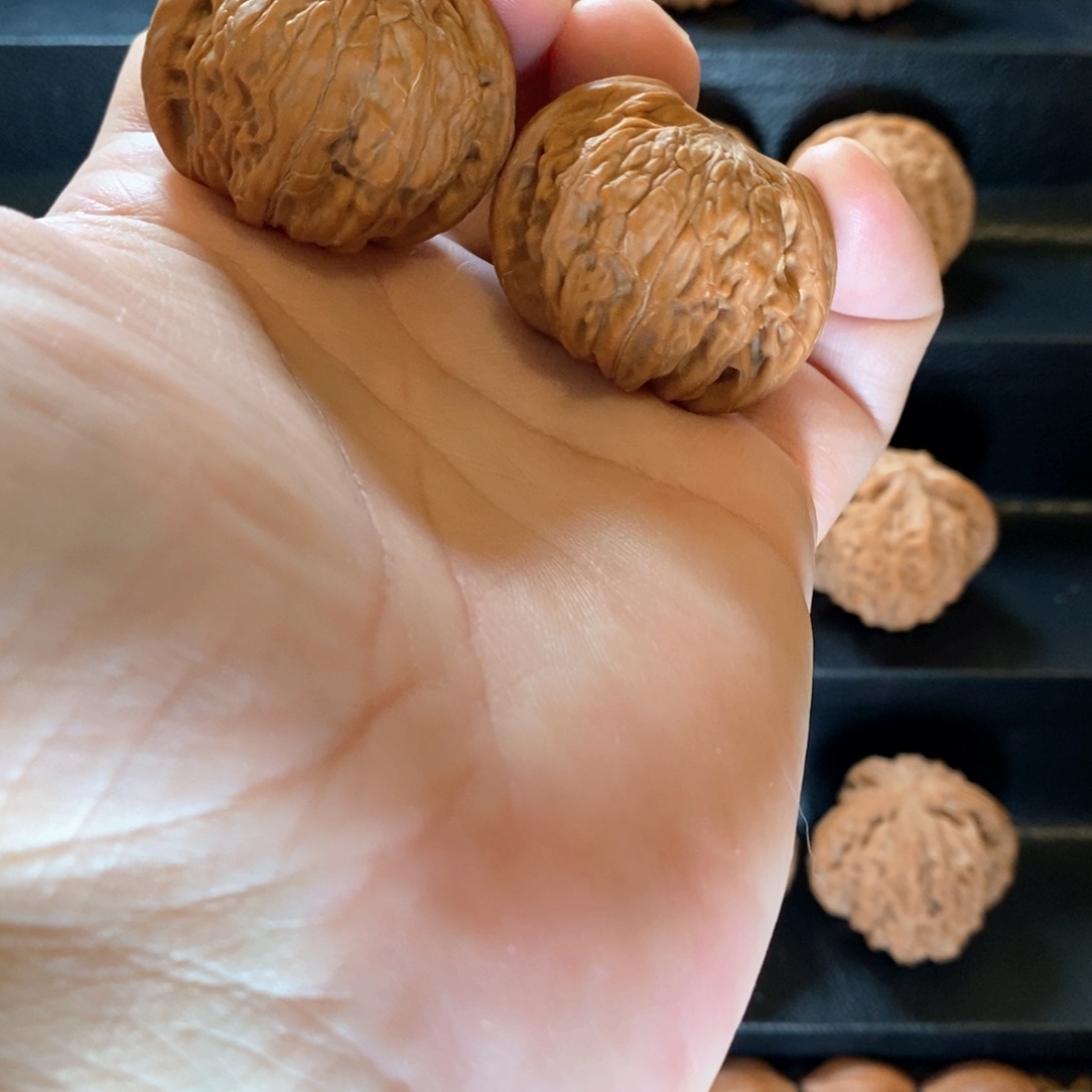 文玩核桃把件全品磨盘40