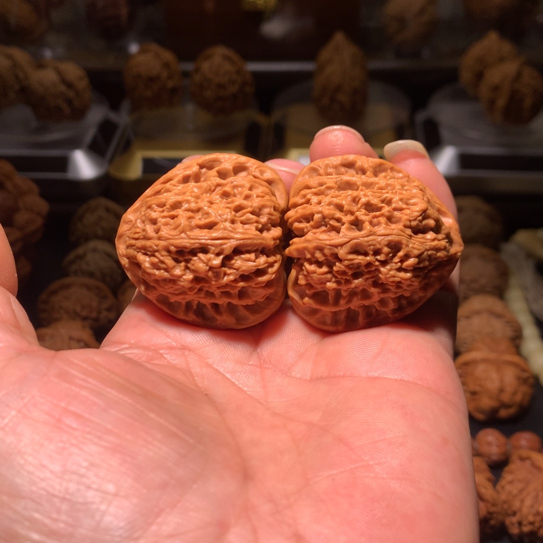 406三角南疆一物一图