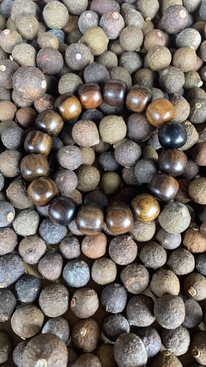 【阿雅专属南北】1002菇号重量22g起