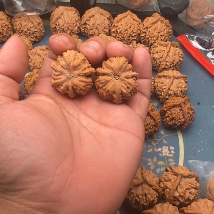 文玩核桃把件好**连玉龙
