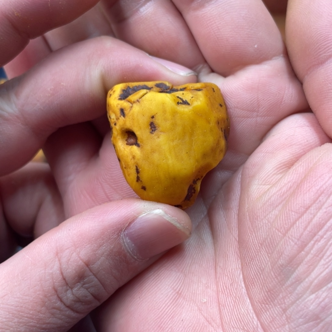 就***逗定制琥珀未镶嵌蜜蜡订制三通