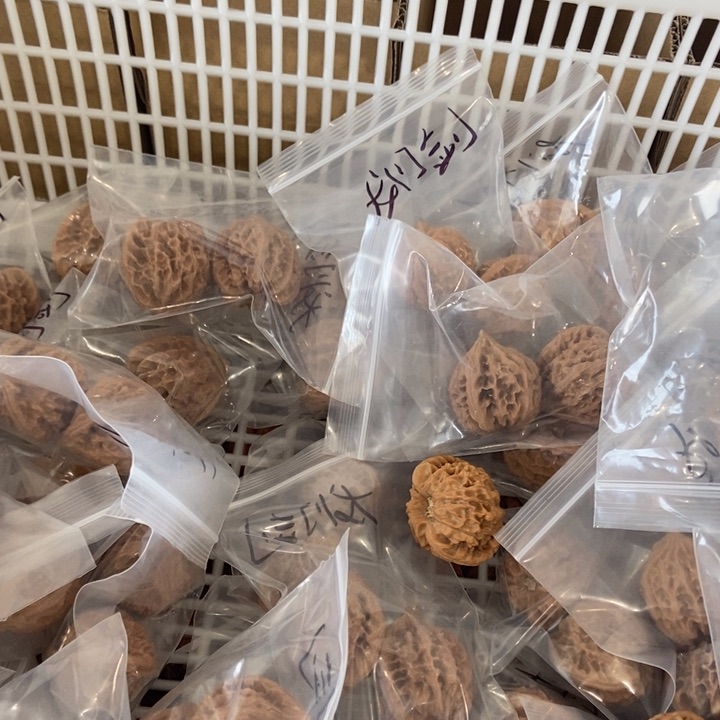 吊坠文玩核桃龙门涧瑕疵