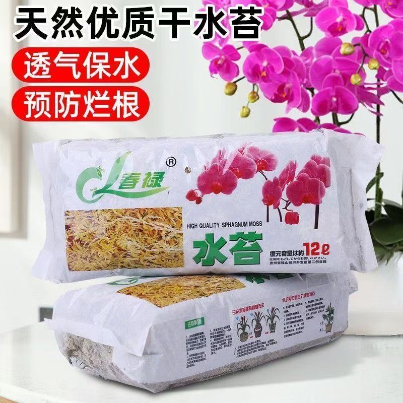 水苔蝴蝶兰花专用无菌干青苔藓营养土可作乌龟爬垫材冬眠用