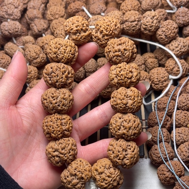 黄杨木尼泊尔大金刚平头尾豆腐块梅花26