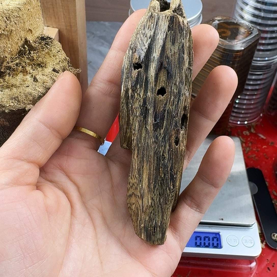 香料绿奇楠虫漏白棋19克