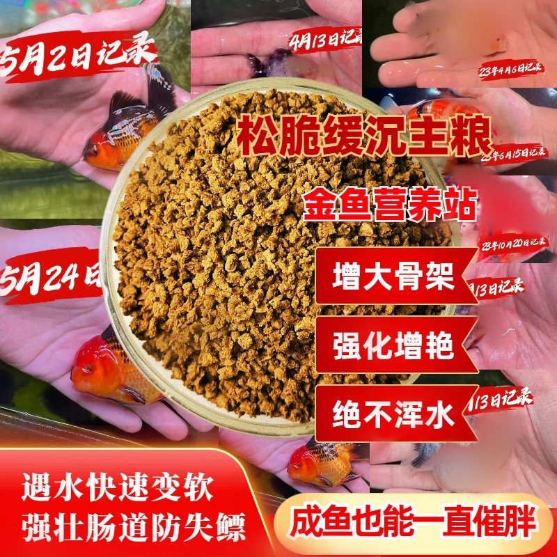 催鱼增肥专用粮防失鳔胖鱼泰狮兰寿热带鱼原生鱼催体金鱼增艳