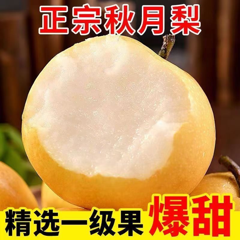 正宗秋月梨现摘现发轻微木栓梨丁不影响正常食用介意勿拍