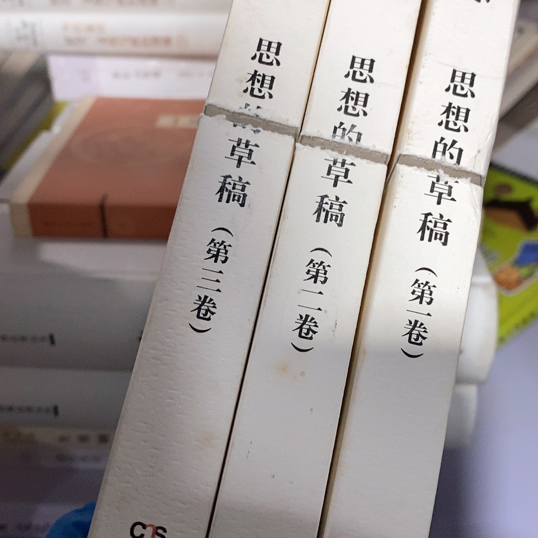 瑕疵锯口  思想的草稿 全三卷