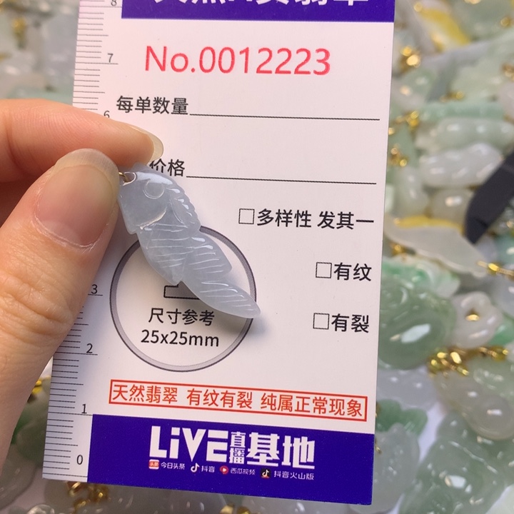 翡翠未镶嵌吊坠(不含链)