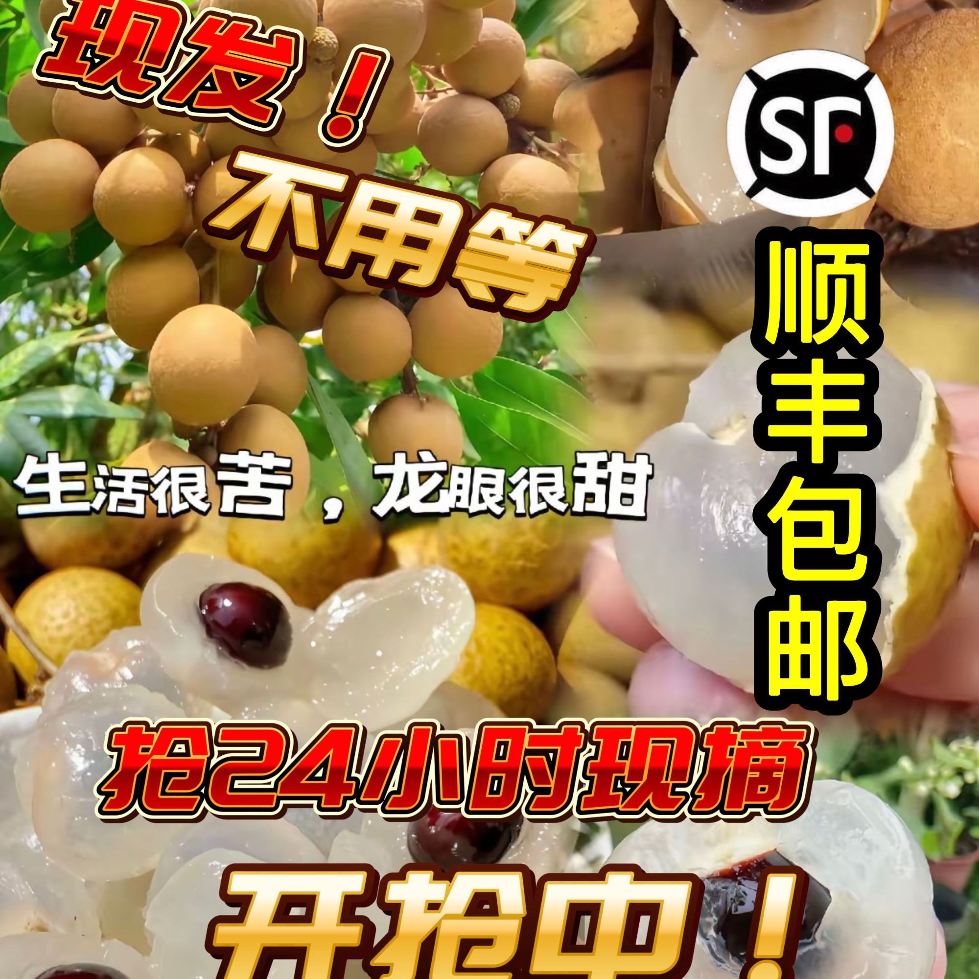 【顺丰冷链直达】储良石峡龙眼现摘现发应季水果新鲜清甜肉厚桂圆