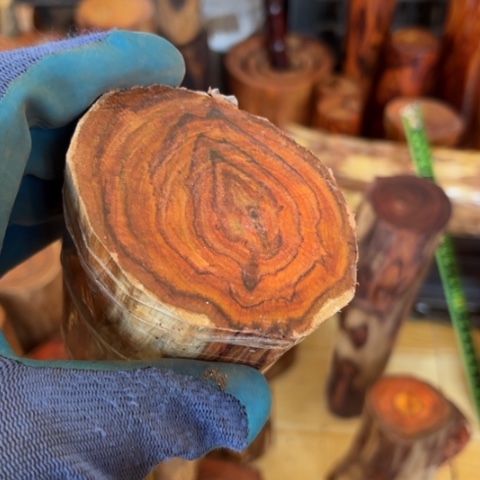 木一***湖黄花梨木料50木料