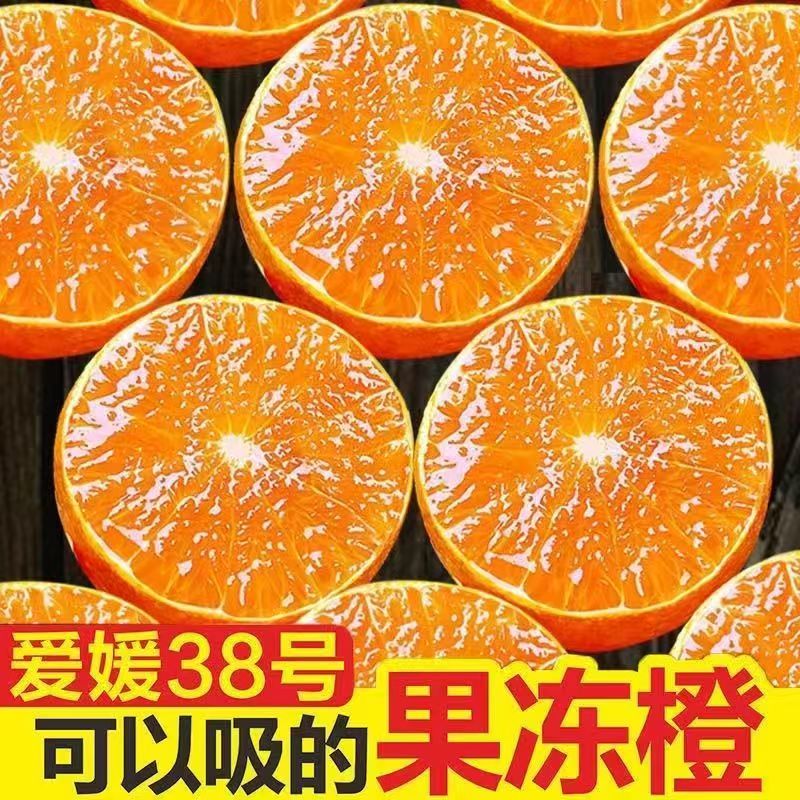 正宗眉山爱媛38号果冻橙现摘现发新鲜采摘