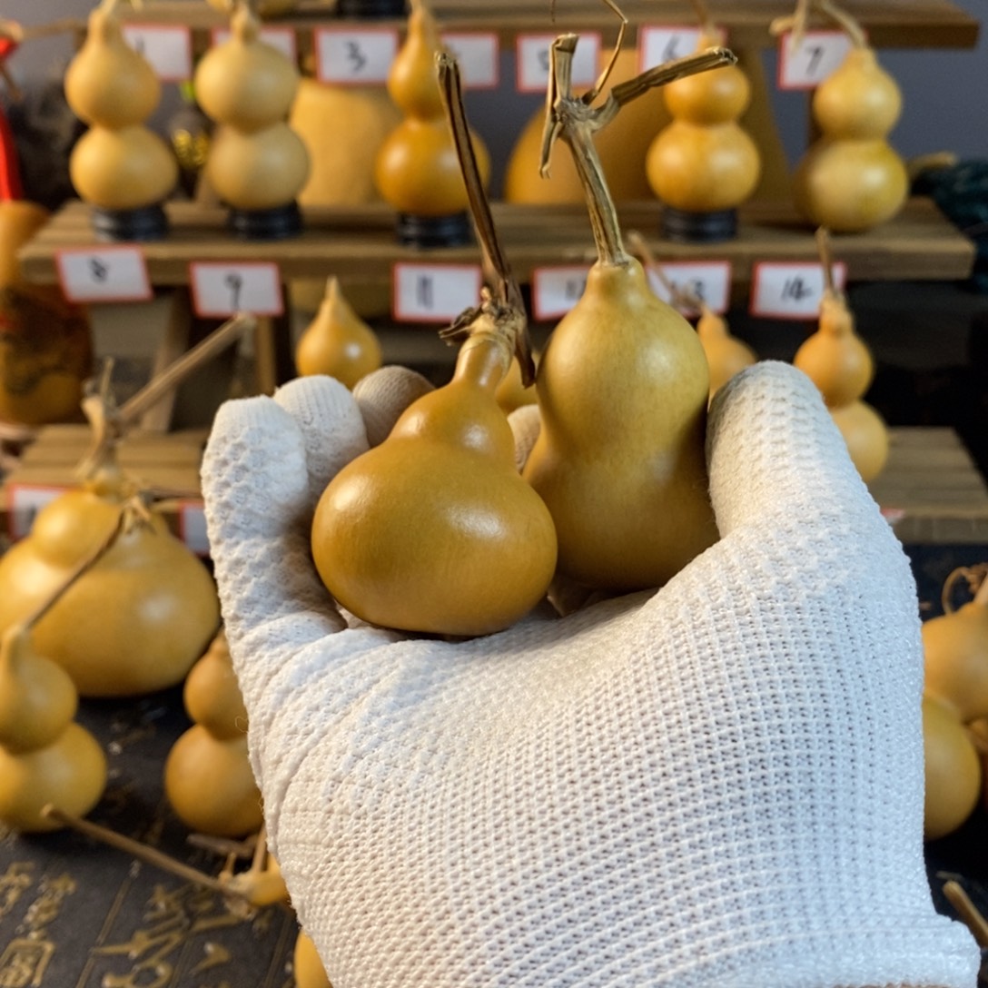 胡***粉葫芦2222222222222