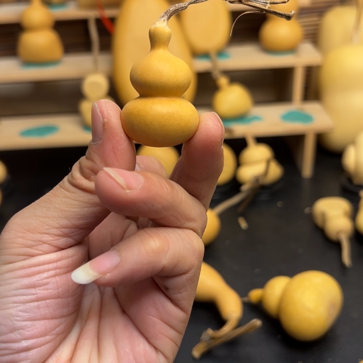 L****强葫芦葫芦葫芦葫芦葫芦葫芦