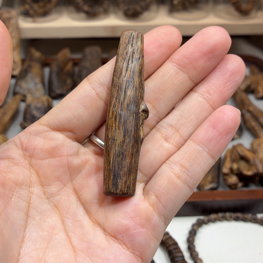 沉香沉香碎屑文莱