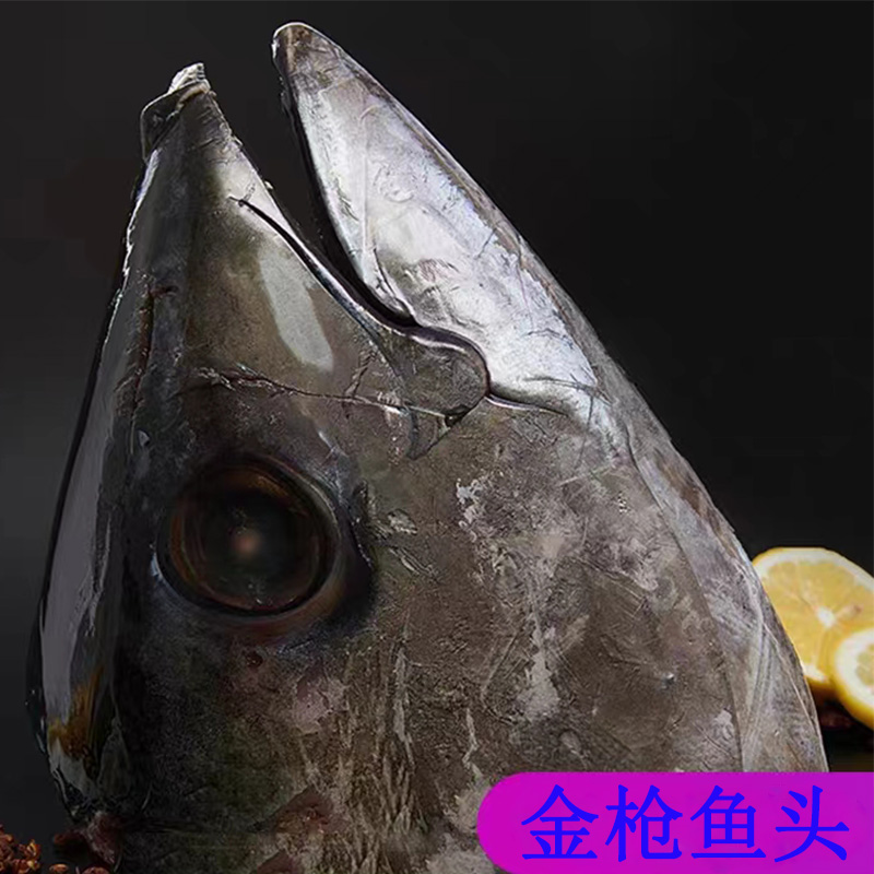 【代拍链接】西班牙海钓野生蓝鳍金枪鱼 鱼头