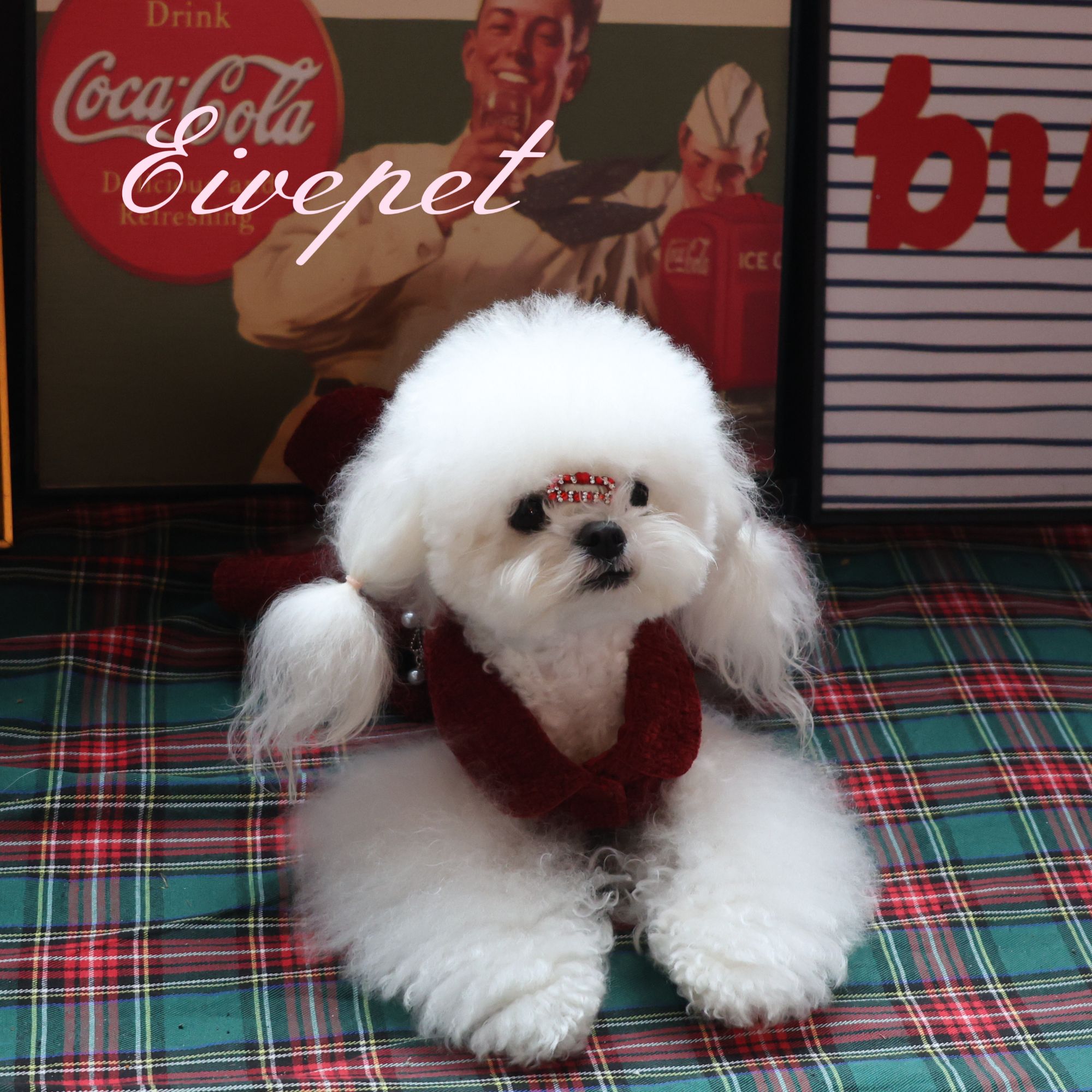 【Eivepet爱宠】珍珠绮梦 狗狗衣服小体狗马尔济斯西施约克夏