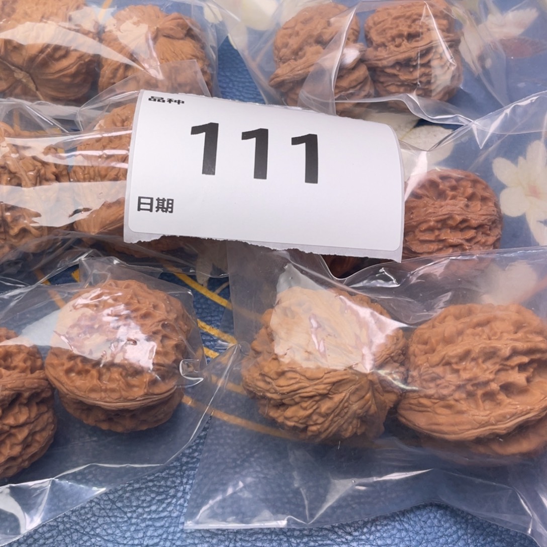 文玩核桃把件111号6对带大沽石