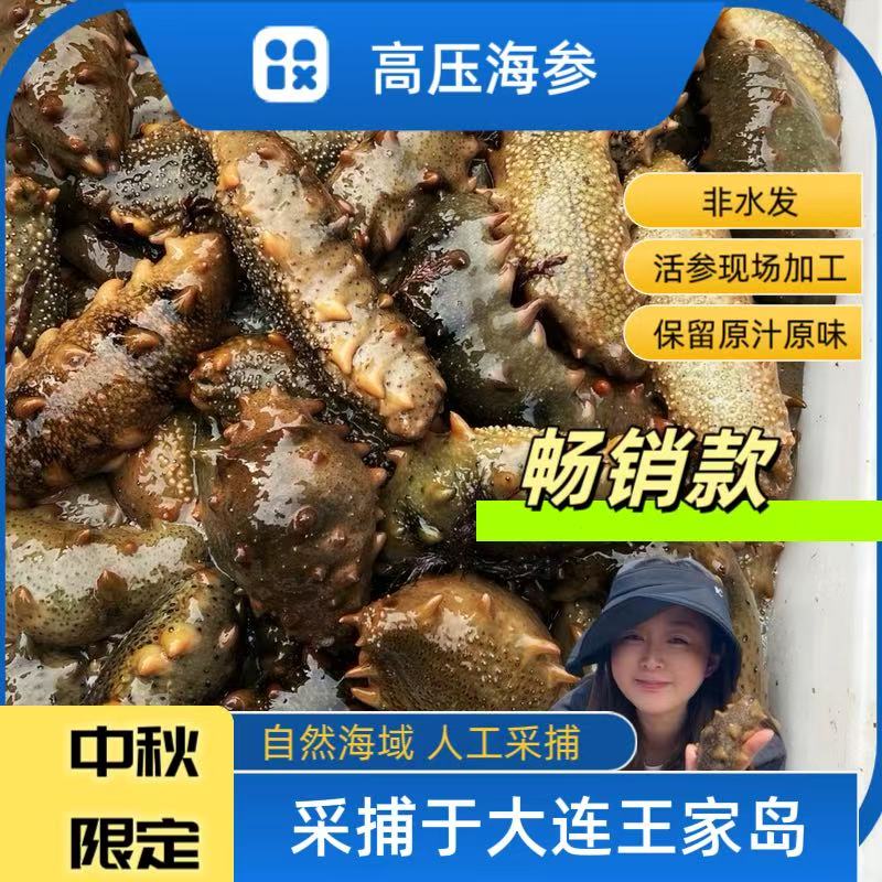 【高压海参】王家岛海参20-25只高压海参1斤（活海参10斤）