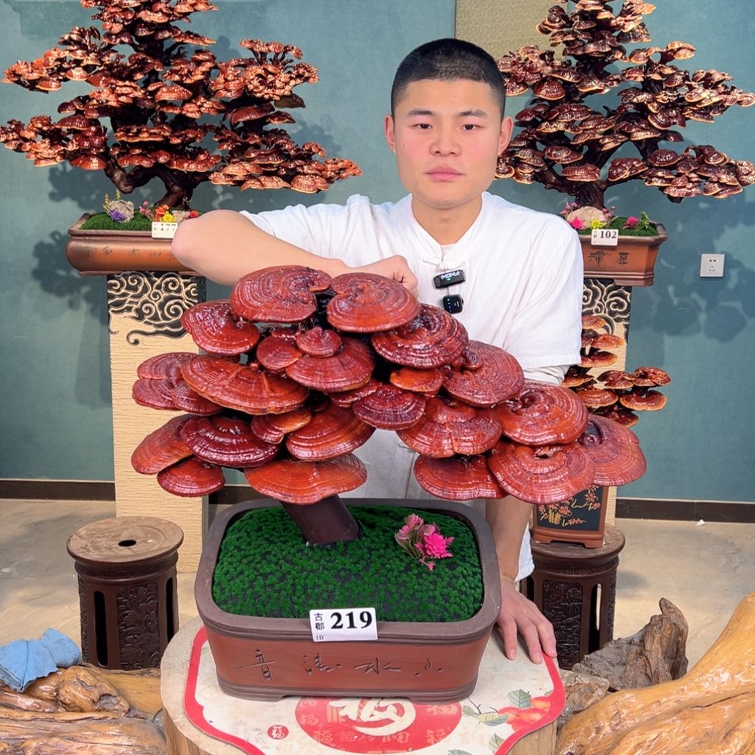 无花朵888888888888