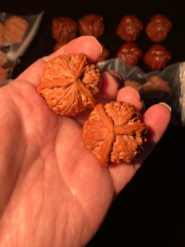 精配36白狮子球奔文玩核桃