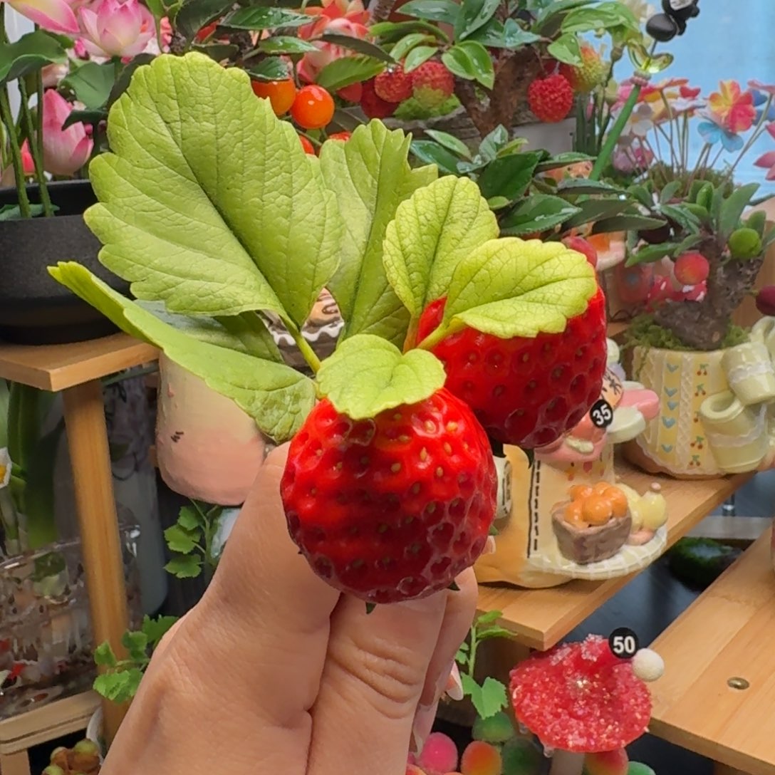 一物一拍默认微瑕不退不换