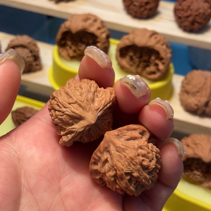 官方网站发布消息