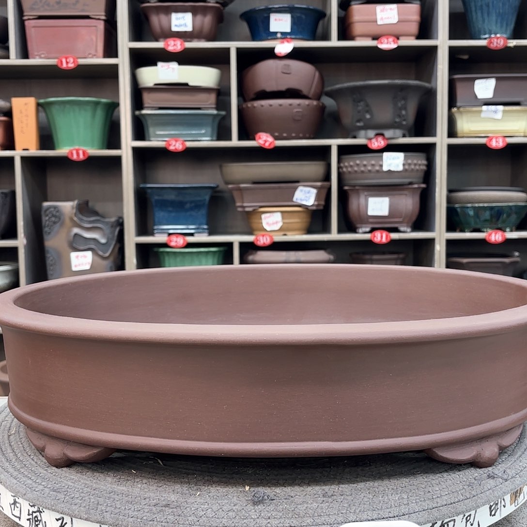 紫砂花盆清**人紫砂的颜色很好看