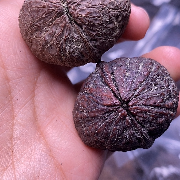文玩核桃吊坠   255