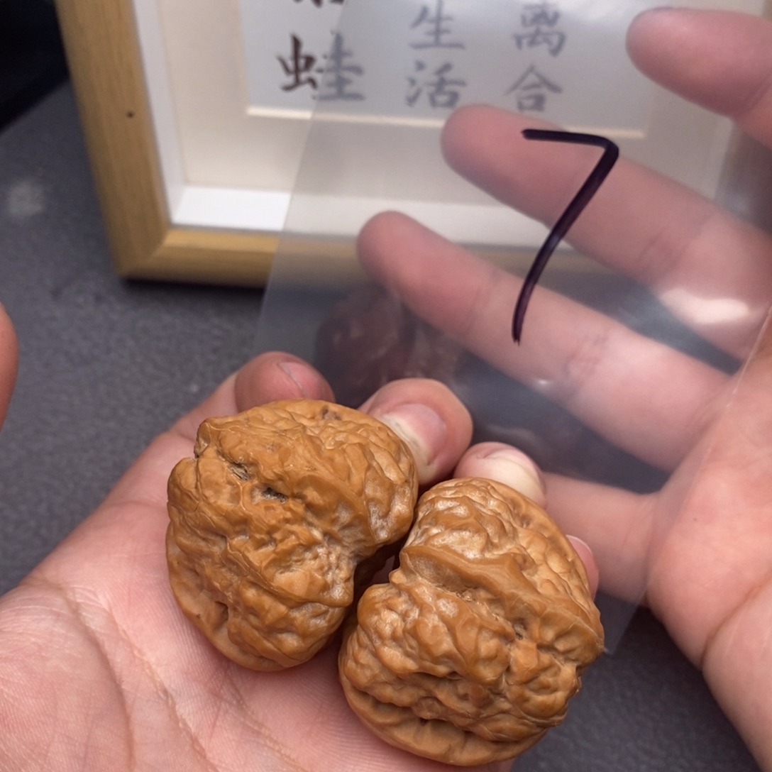 把件文玩核桃蛤蟆头40.5尺轻微扫尖