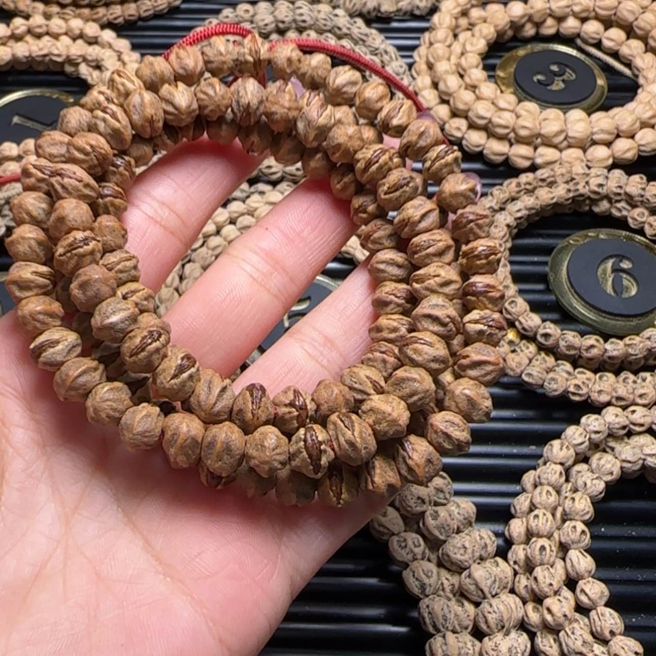 【闪购商品】柏香籽/百香籽吊坠树***g