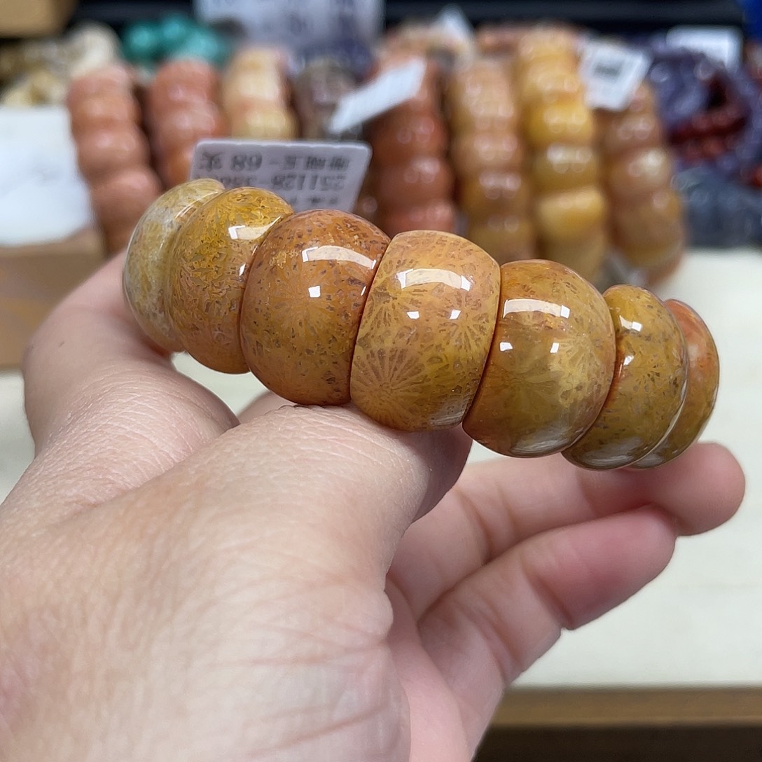 未镶嵌手串硅化珊瑚（珊瑚玉）928