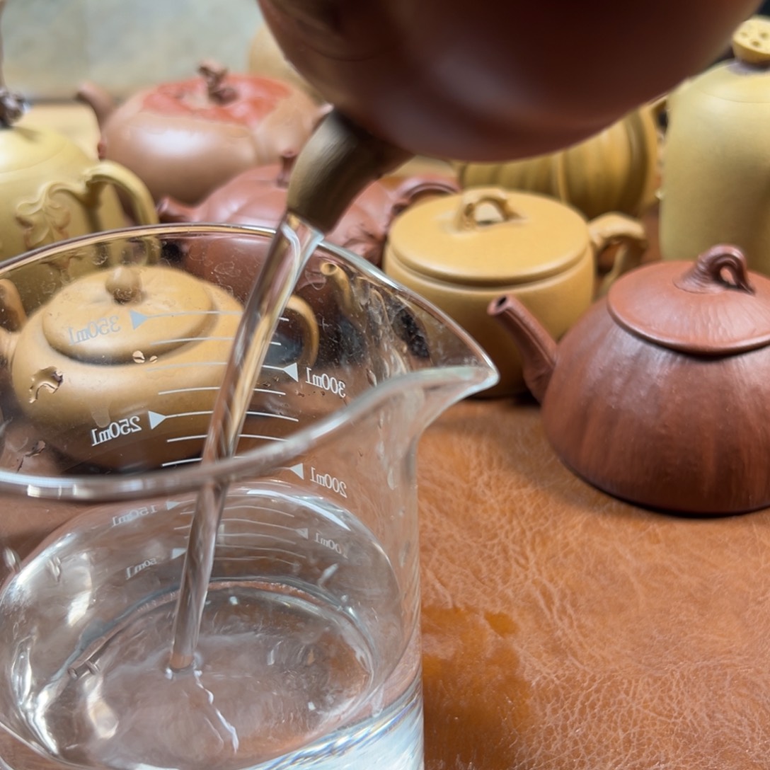 紫砂茶壶天****伟紫砂的100