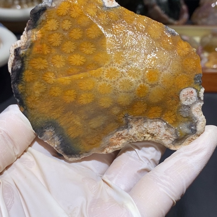 【闪购商品】未镶嵌珊瑚玉硅化玉＆****云