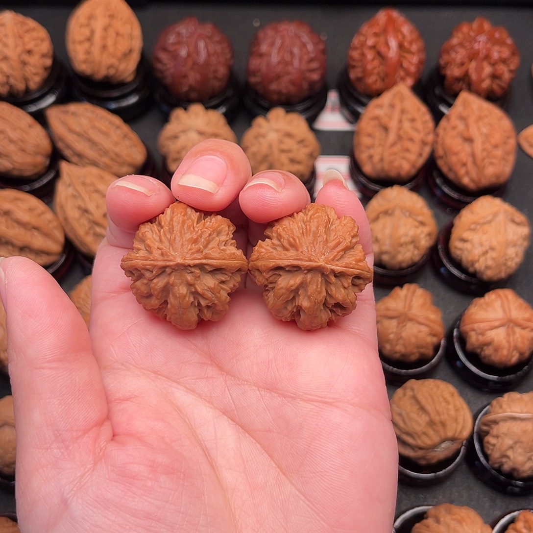 文玩核桃把件珊瑚王Z