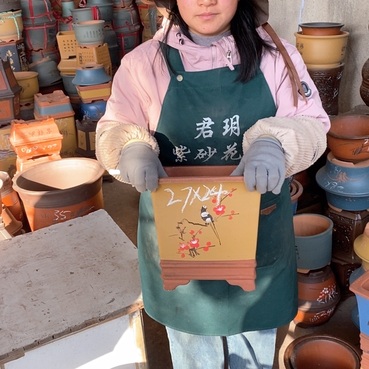 紫砂花盆盆栽花卉苗木种植