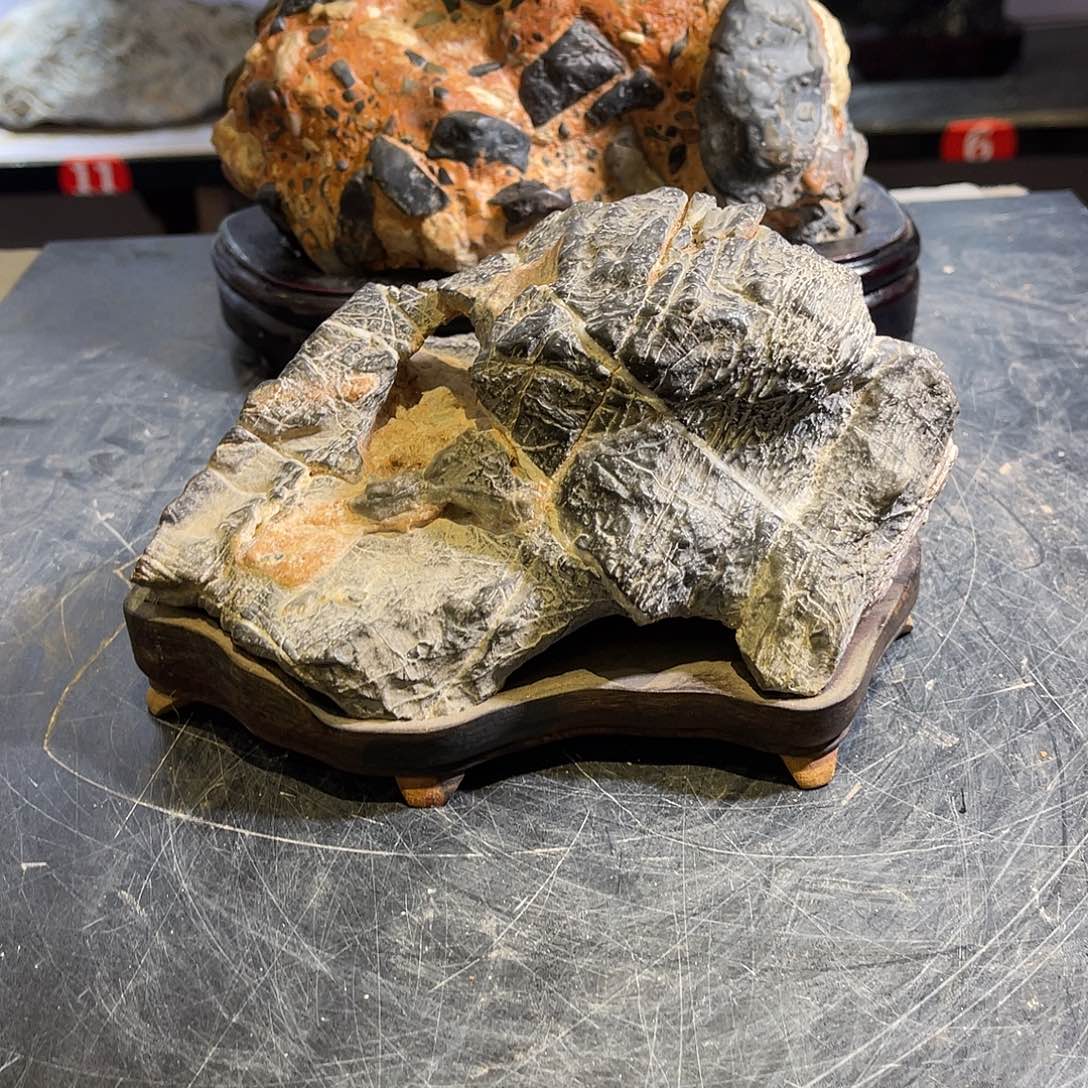 紫砂今天下午又一小时没时间上课不上班也张*令