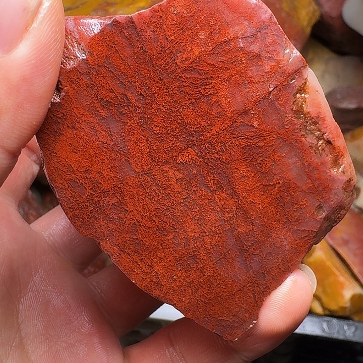 寿山石寿山石的种类