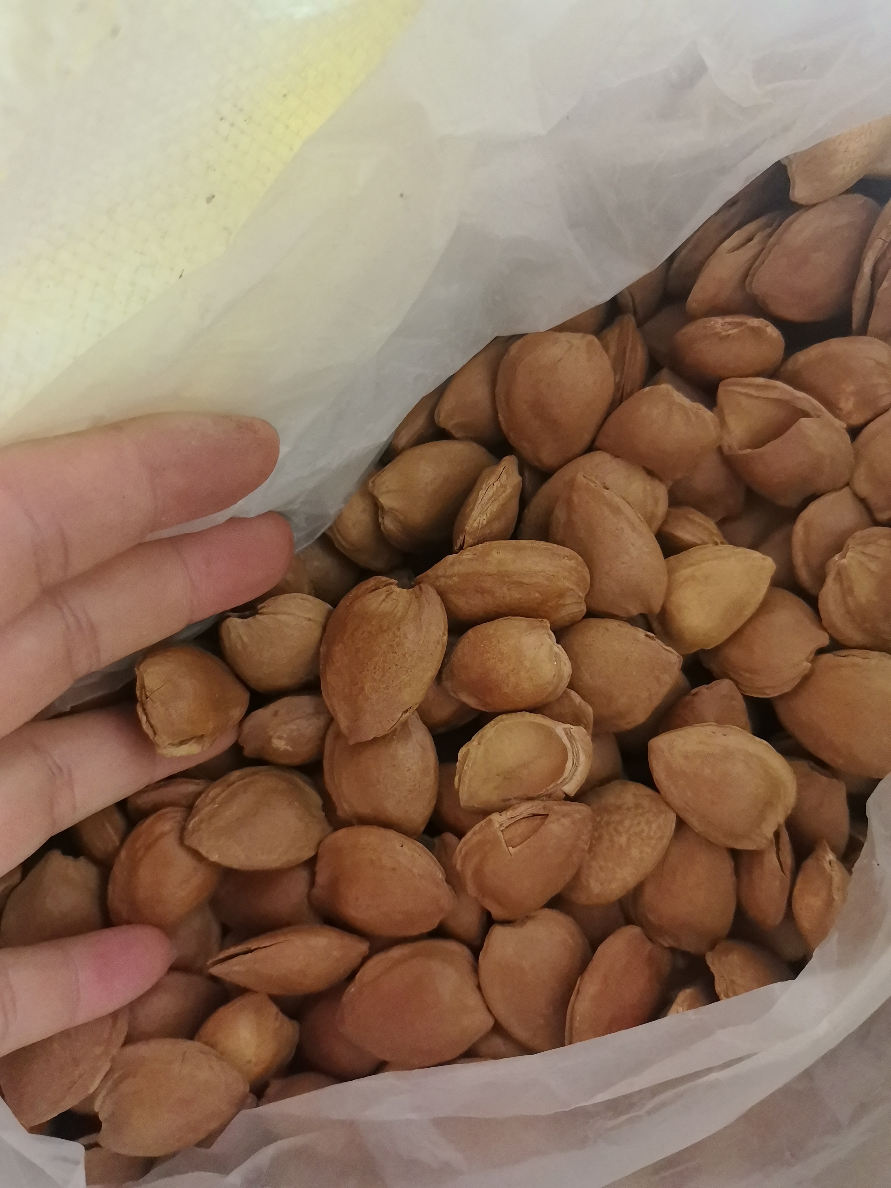 云南边境山货～杏仁