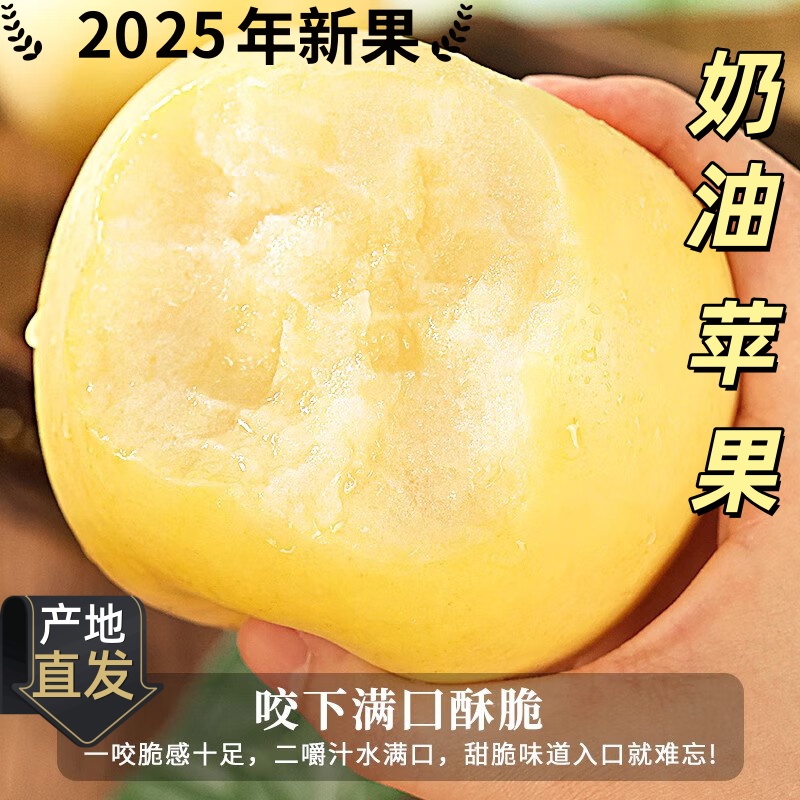 烟台奶油富士苹果新鲜采摘脆爽多汁现摘现发奶油苹果产地直发