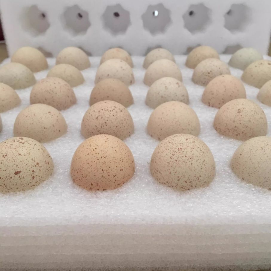 60枚正宗呱呱鸡蛋小飞龙鸡蛋新鲜直达破损包赔农户直发礼盒装