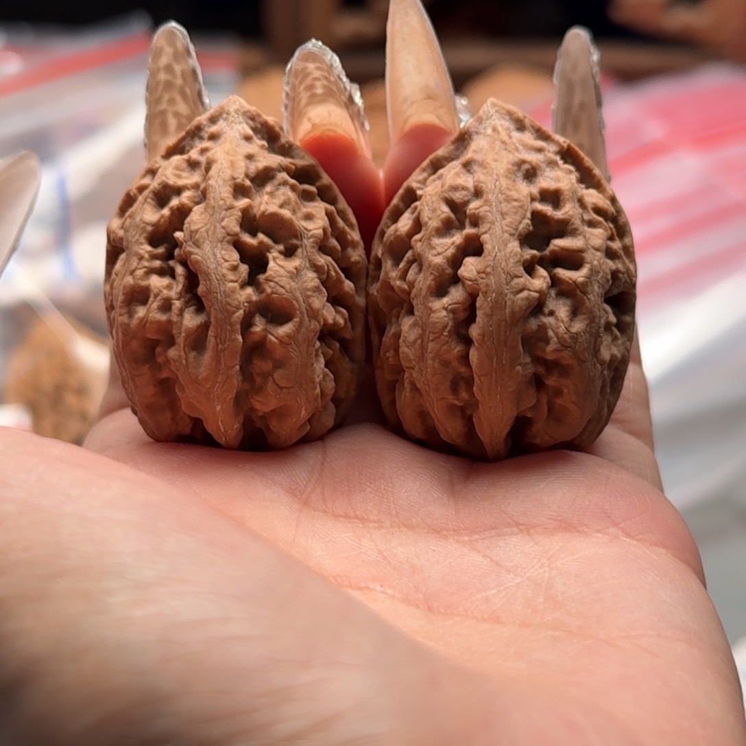 文玩核桃把件关东木子楸百核38