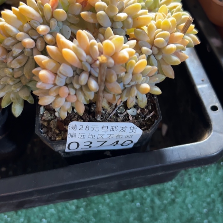 幸运的是我还没遇到过