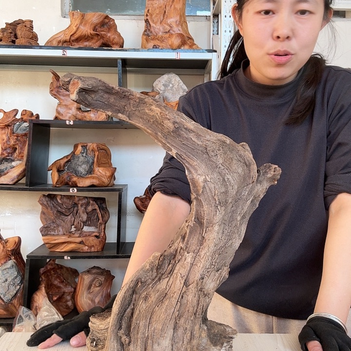 丛***庭木太行崖柏摆件摆件