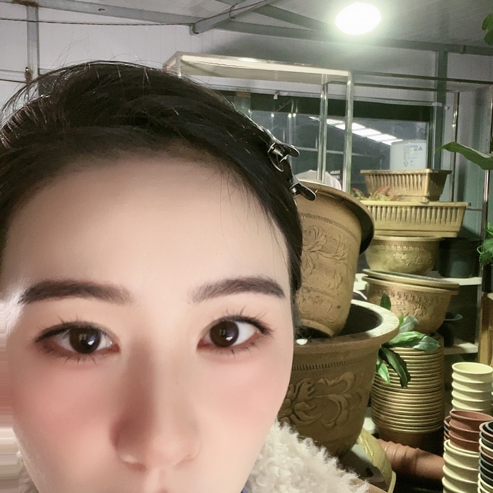 圆50口径花盆两个