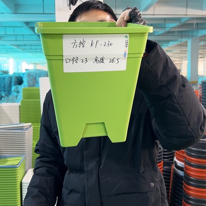 正品方盆口23高26果绿无托8只