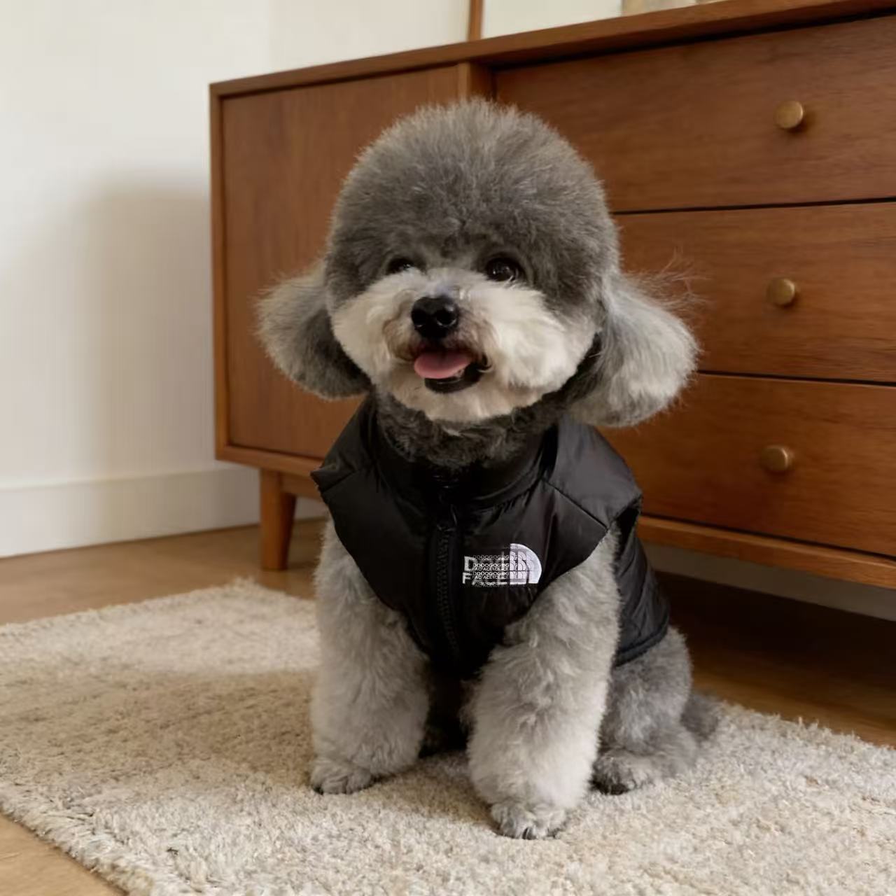 特价潮牌宠物衣服秋冬装小狗狗黑色马甲外套比熊猫咪无袖马夹